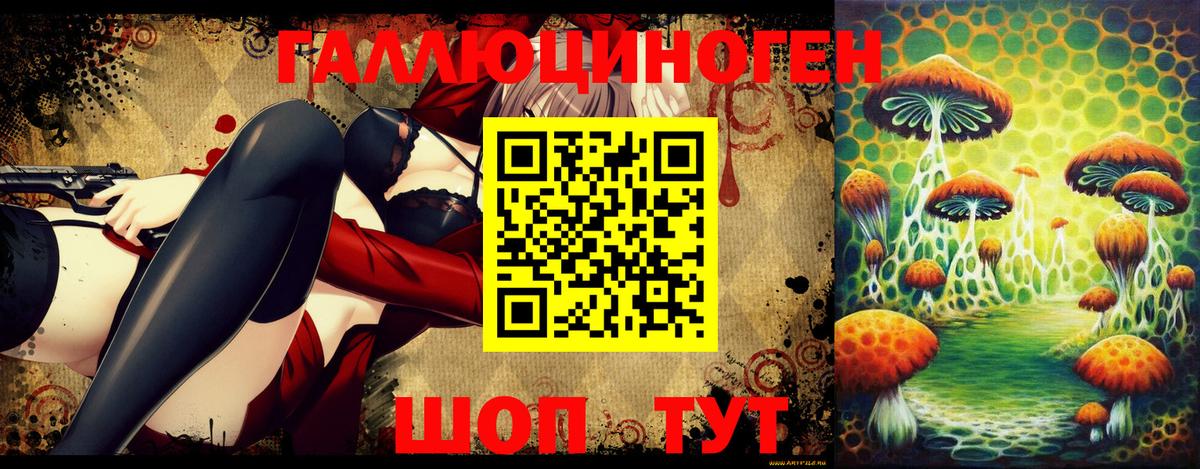Елабуга  Псилоцибиновые грибы MAGIC MUSHROOMS  Псилоцибиновые грибы мицелий  Вход с VPN 
